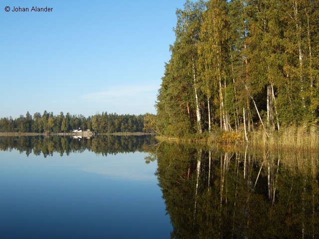 På väg