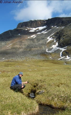 Fjällbäcksvatten