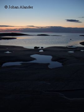 Håkansskär i solnedgång