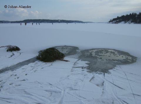 Plurrningsspår