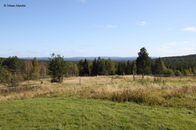 Orsa, Kvarnberg Orsa, Kvarnberg