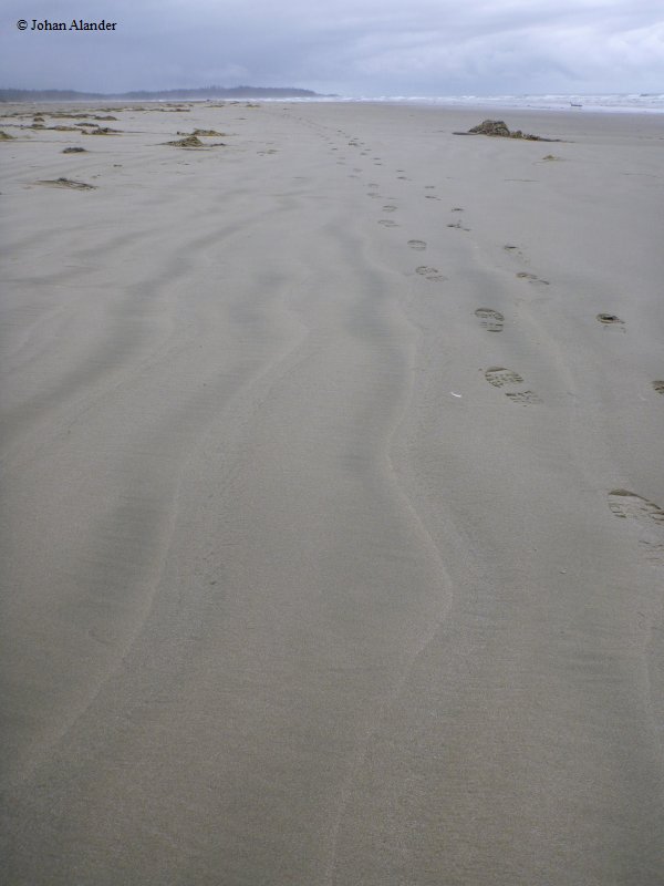 Vancouver Island-Pacific Rim NP