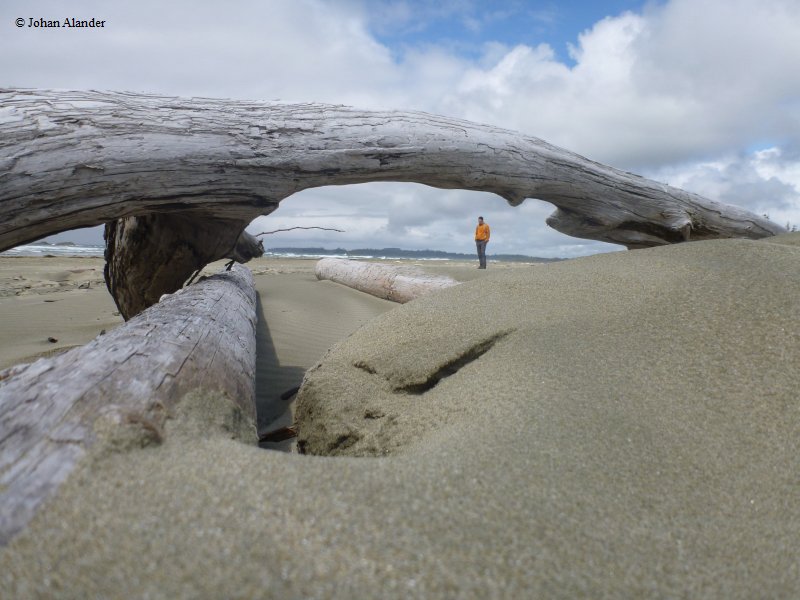 Vancouver Island-Pacific Rim NP