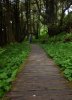 Vancouver Island-Pacific Rim NP