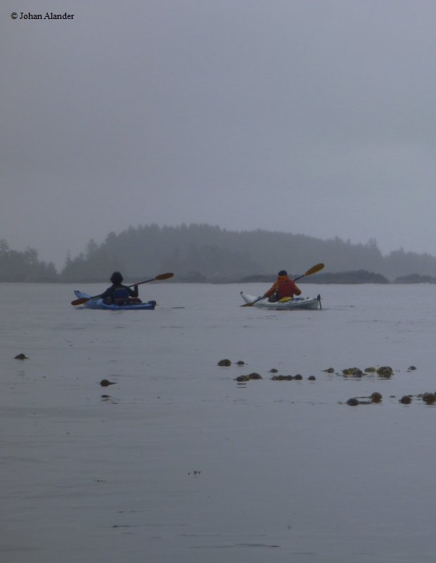 Vancouver Island-Kayaking