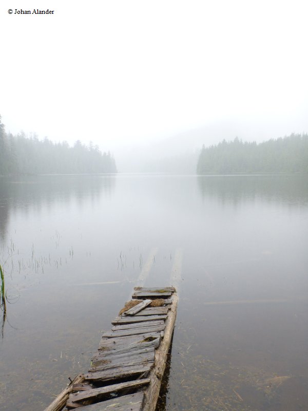 Cape Scott Prov. Park