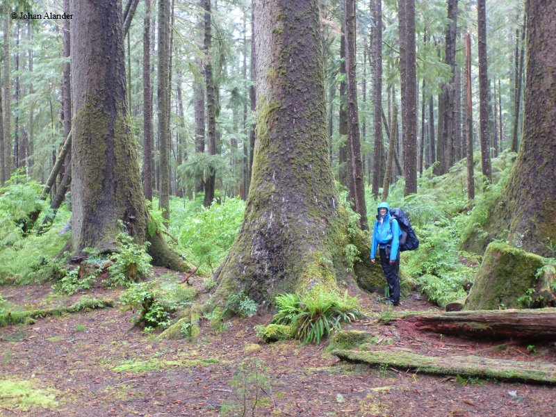 Cape Scott Prov. Park