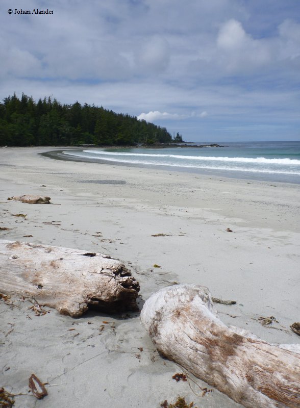 Cape Scott PP-Nissen bay Cape Scott PP-Nissen bay