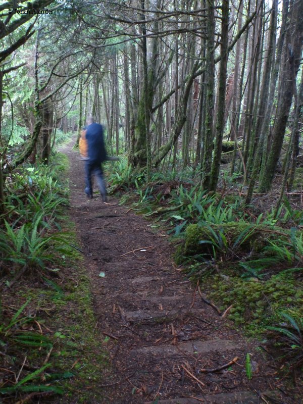 Cape Scott PP-Cape Scott Cape Scott PP-Cape Scott