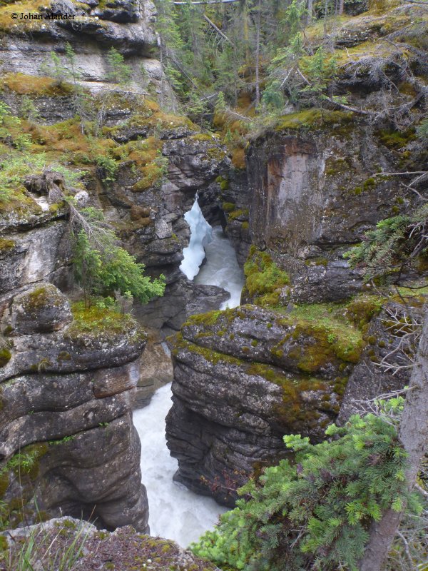 Jasper NP-Maligne Canyon Jasper NP-Maligne Canyon