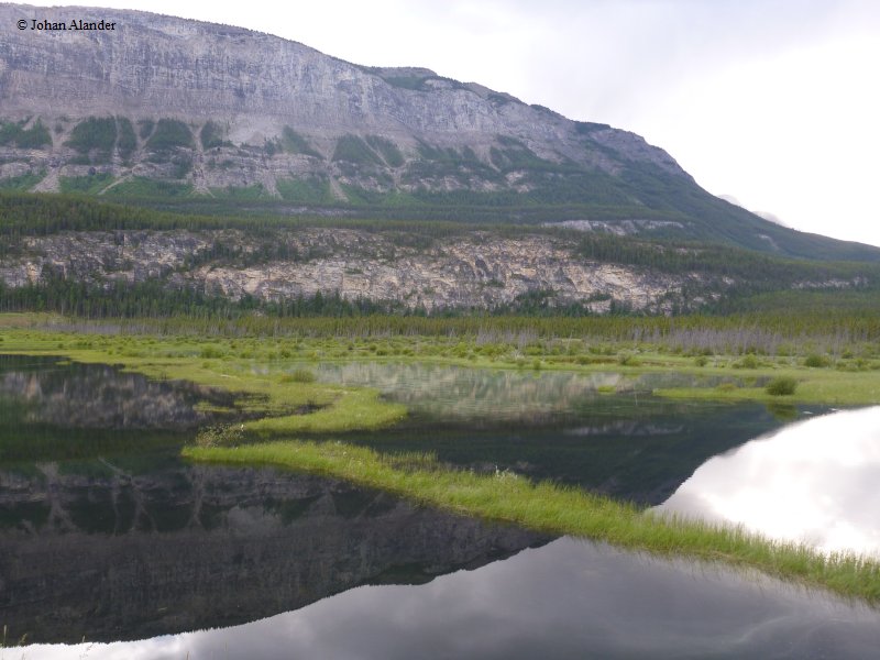 Jasper National Park