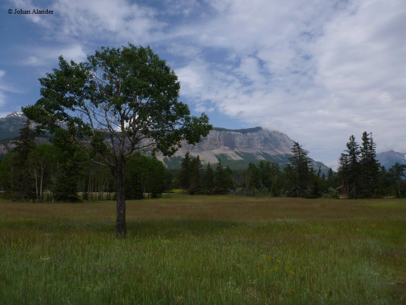 Jasper National Park