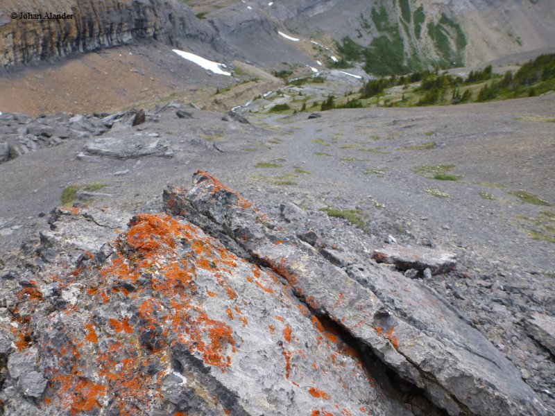 Jasper NP-Jonas-Brazeau loop Jasper NP-Jonas-Brazeau loop