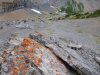 Jasper NP-Jonas-Brazeau loop