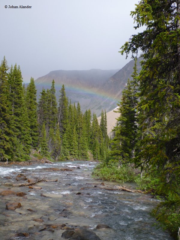 Jasper NP-Jonas-Brazeau loop Jasper NP-Jonas-Brazeau loop