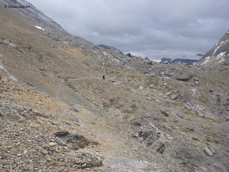 Jasper NP-Jonas-Brazeau loop