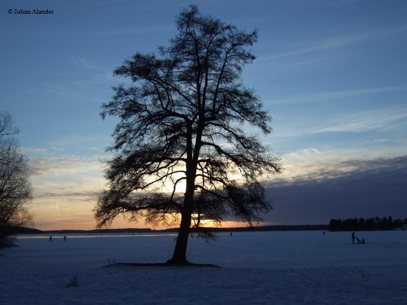 Solnedgång