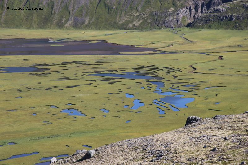 Hornstrandir Hornstrandir