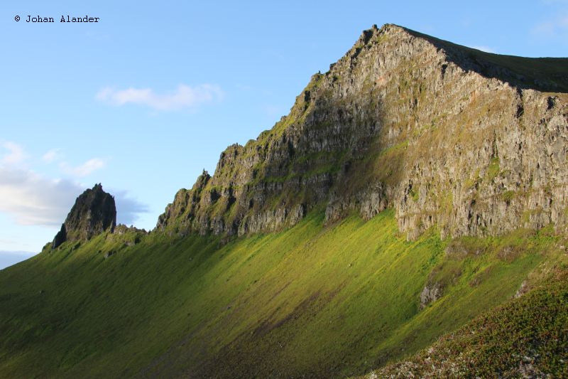 Hornstrandir Hornstrandir