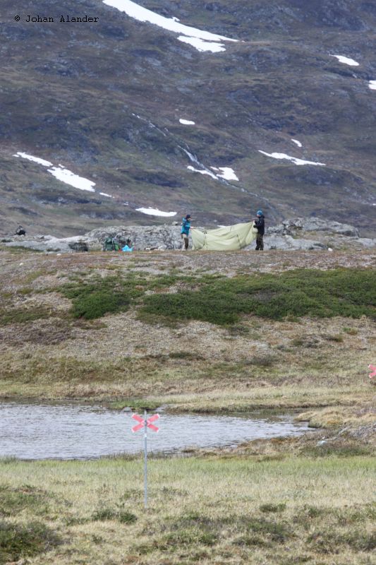 Fjällgöra... Fjällgöra...