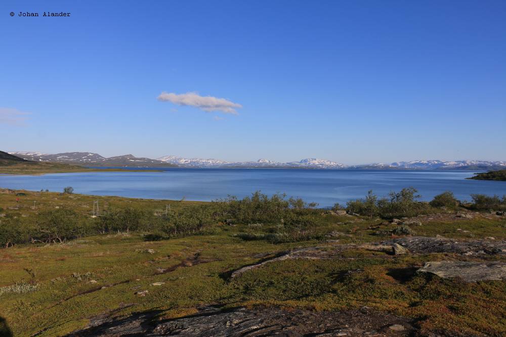 Kaitum i Staloloukta Kaitum i Staloloukta