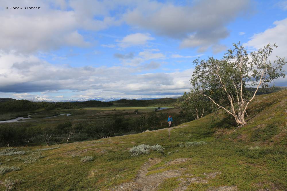 Mot Viejjavagge Mot Viejjavagge