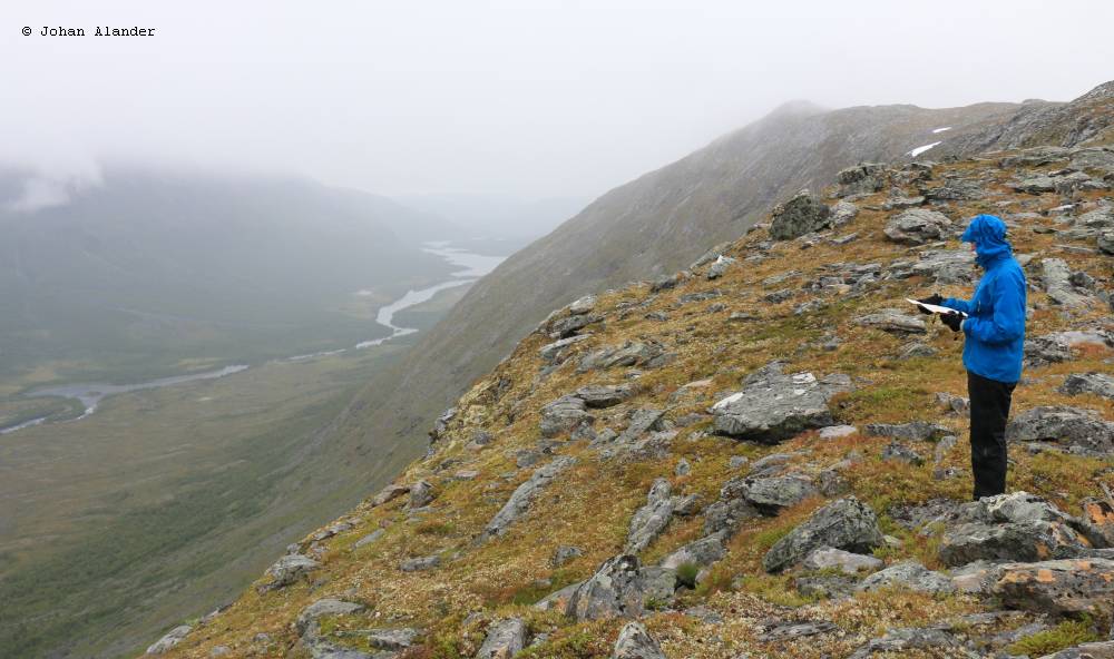 Tarradalen Tarradalen