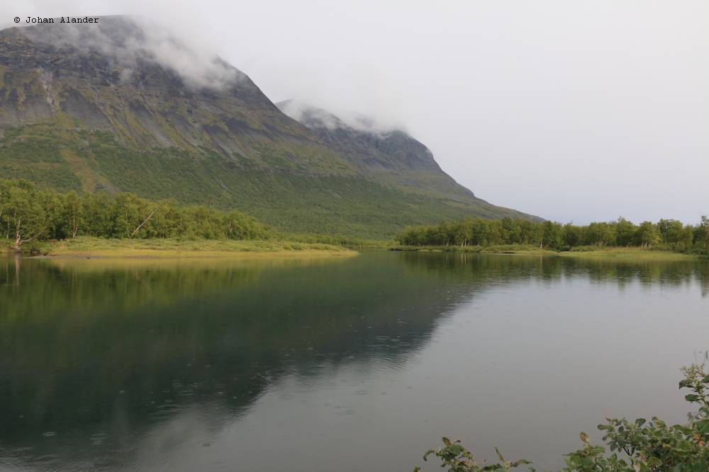 Tarradalen Tarradalen