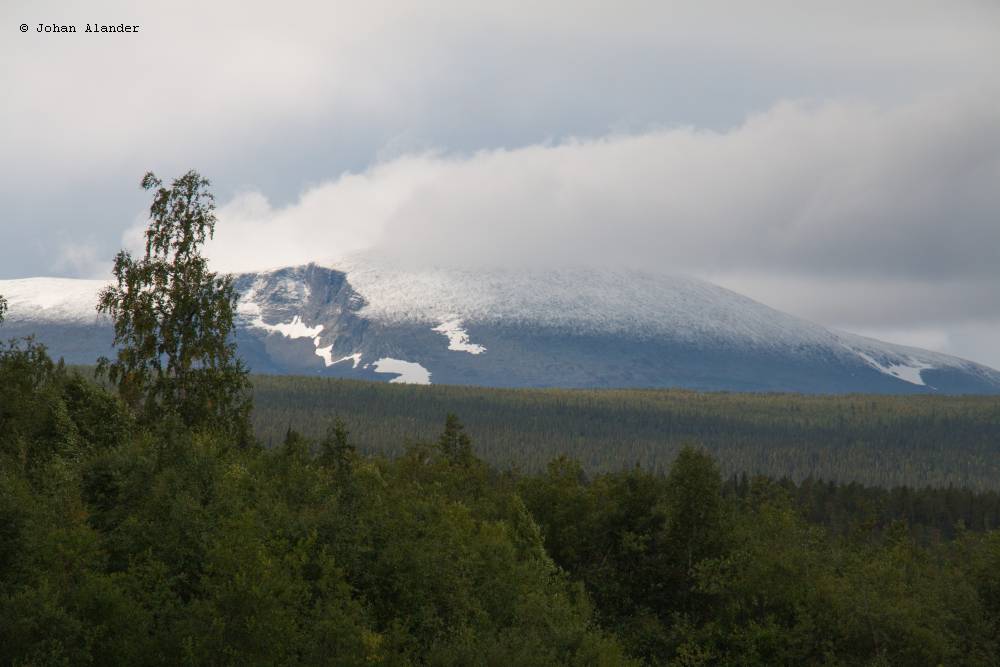 Snö Snö