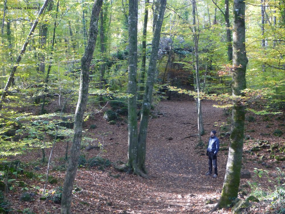 Vandring vid Olot Vandring vid Olot